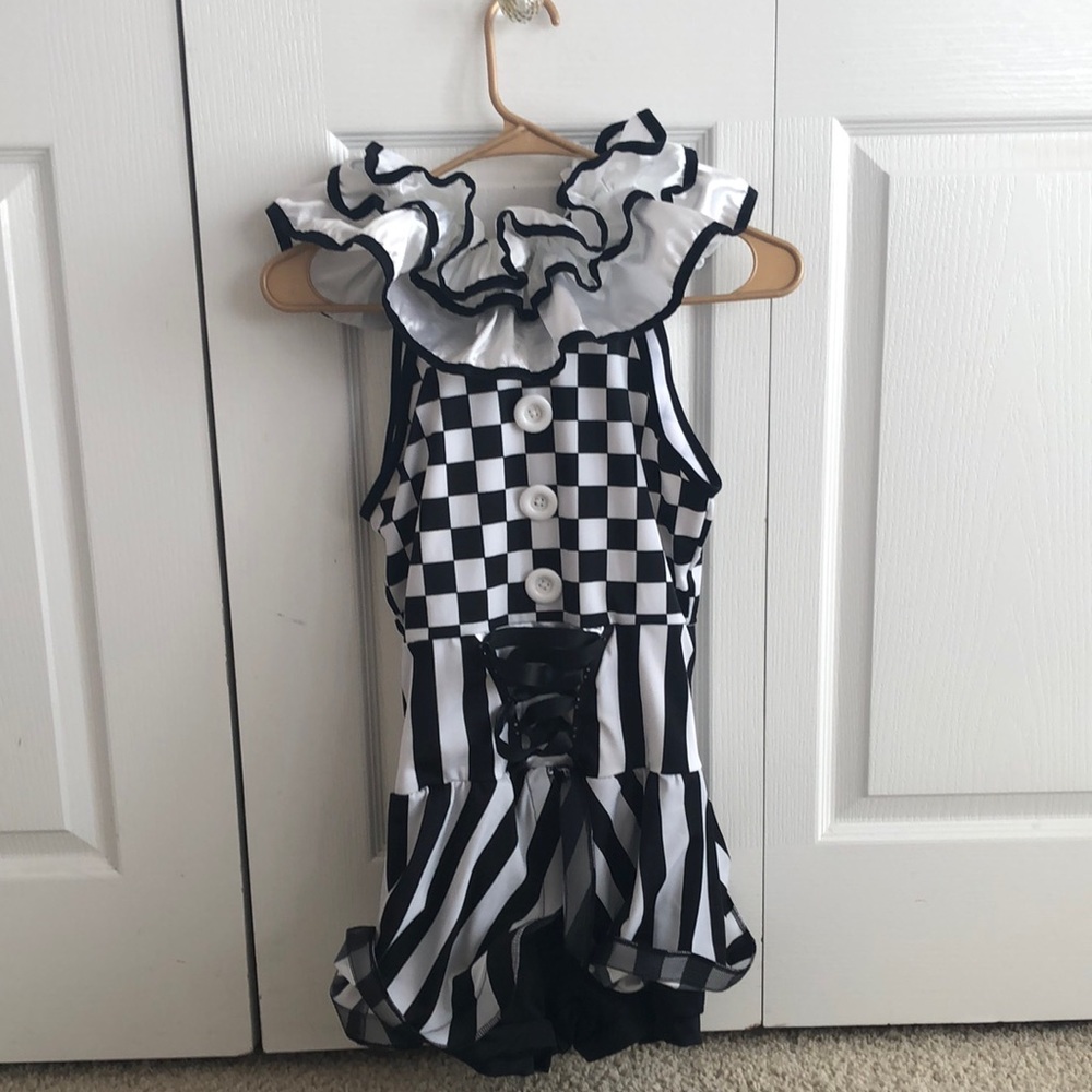 Weissman Carousel dance/ice skating costume. Size adult medium.